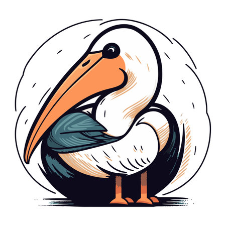Pelican vector illustration. Isolated pelican on white background.のイラスト素材