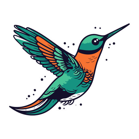 Hummingbird vector illustration. Isolated hummingbird on white background.のイラスト素材