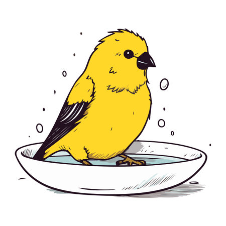 illustration of a yellow canary in a bowl of water.のイラスト素材