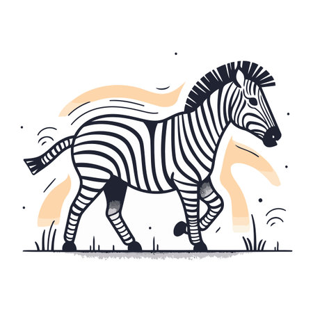 Zebra. Hand drawn vector illustration isolated on a white background.のイラスト素材