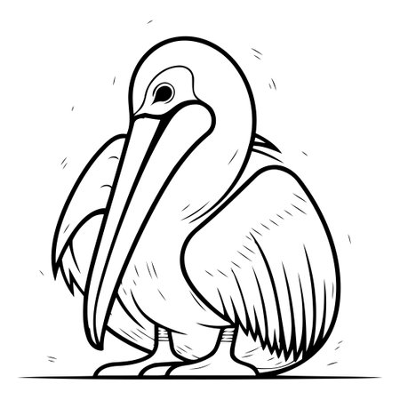 Pelican vector illustration. Cartoon pelican isolated on white background.のイラスト素材