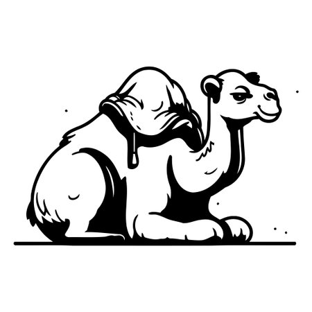 Camel with a cap on his head. Vector illustration on white background.のイラスト素材