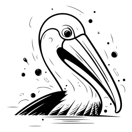 Pelican. Vector illustration. Isolated on white background.のイラスト素材