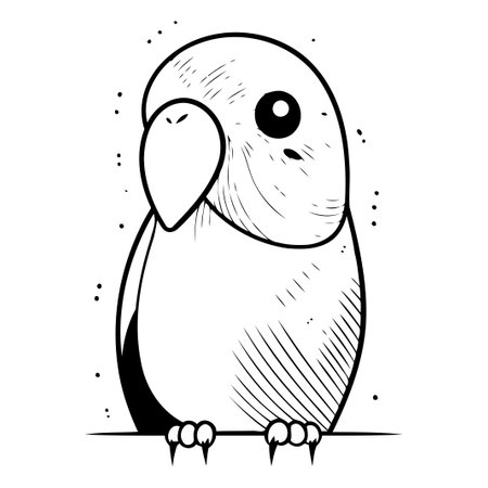 Cute parrot vector illustration. Isolated on white background.のイラスト素材