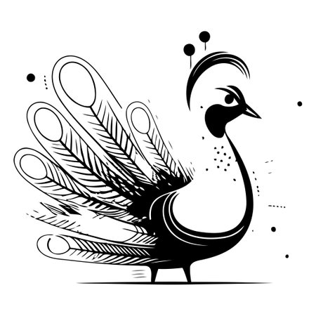 Peacock with feathers. Vector illustration in a flat style.のイラスト素材