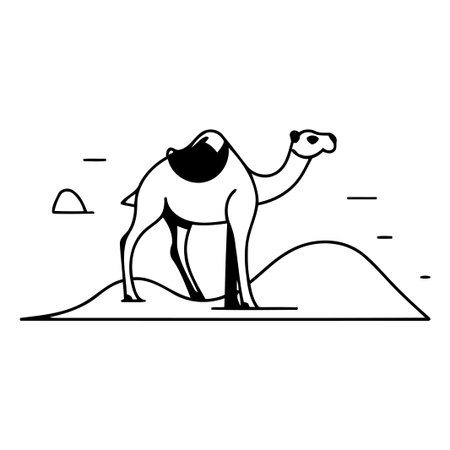 Camel in desert flat color vector icon. Desert animal. safari. travel. adventure. tourism illustrationのイラスト素材