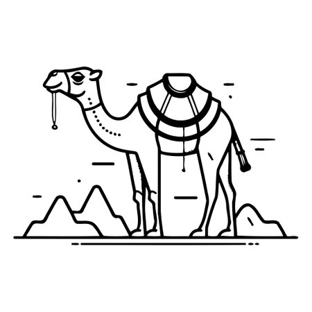 Camel in the desert. Vector illustration in thin line style.のイラスト素材
