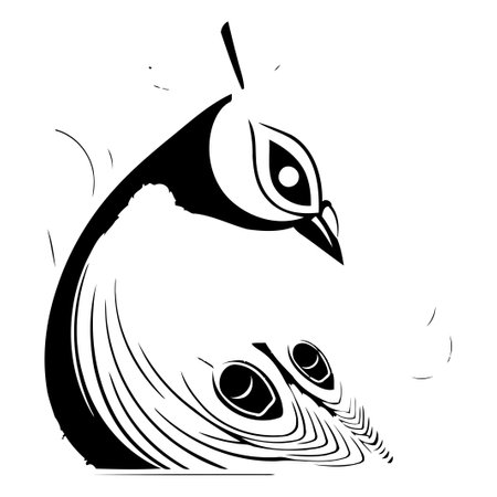 Peacock. Vector illustration of a peacock on a white background.のイラスト素材