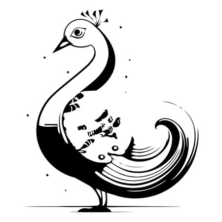 Peacock. Vector illustration. Isolated on white background.のイラスト素材