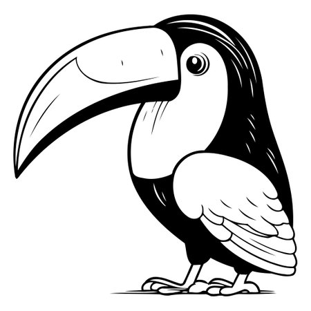 Toucan vector illustration. Cartoon toucan isolated on white background.のイラスト素材