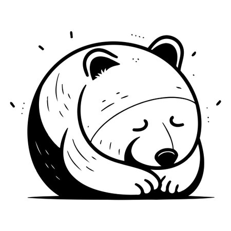 Polar bear. hand drawn vector illustration in cartoon comic style.のイラスト素材