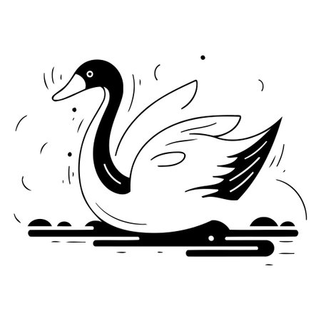 Vector hand drawn illustration of a swan on a white background.のイラスト素材