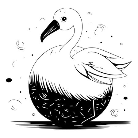 Flamingo. Hand drawn vector illustration. Isolated on white background.のイラスト素材