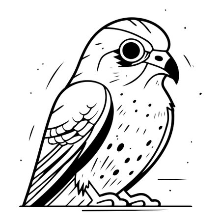 Sketch of a falcon on a white background. Vector illustrationのイラスト素材