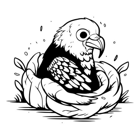 Illustration of an american bald eagle sitting in a nest.のイラスト素材