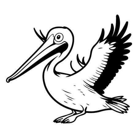 Pelican bird isolated on white background. Vector cartoon illustration.のイラスト素材