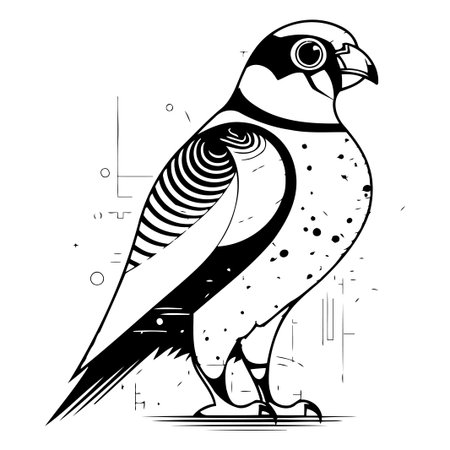 Vector illustration of a pheasant on a white background in a flat styleのイラスト素材