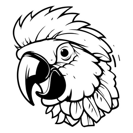 Parrot head mascot. Cartoon vector illustration isolated on white background.のイラスト素材