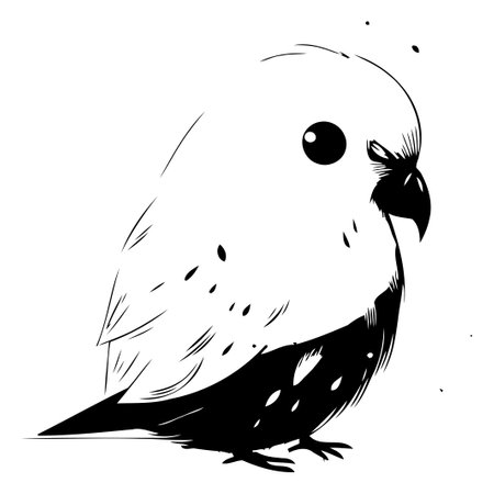 Vector image of a cute parrot on a white background. Hand drawingのイラスト素材