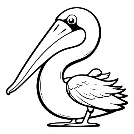 Pelican vector illustration. Cartoon pelican isolated on white background.のイラスト素材
