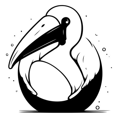 Pelican vector illustration isolated on white background. Cartoon style.のイラスト素材