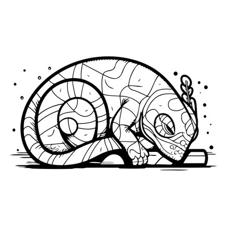 Cartoon chameleon. Vector illustration. Isolated on white background.のイラスト素材