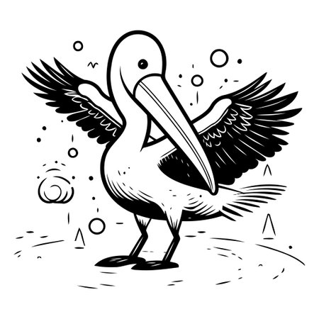 Pelican vector illustration. Hand drawn pelican isolated on white background.のイラスト素材