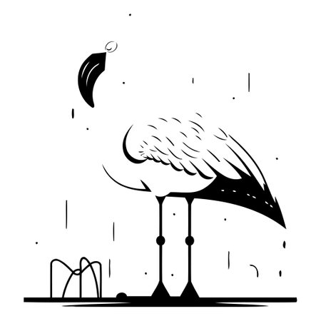 Flamingo. Vector illustration in flat style on white background.のイラスト素材