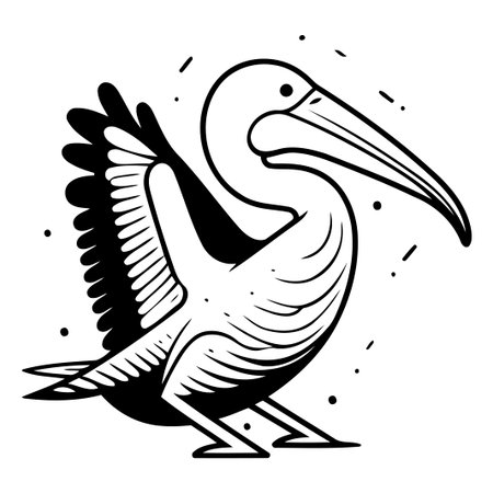 Pelican vector illustration. Cartoon pelican isolated on white background.のイラスト素材
