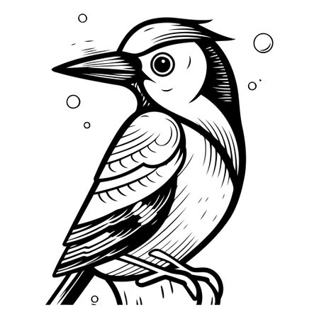 Woodpecker vector illustration. Hand drawn sketch of woodpecker.のイラスト素材