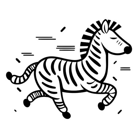 Zebra running vector illustration. Isolated zebra on white background.のイラスト素材