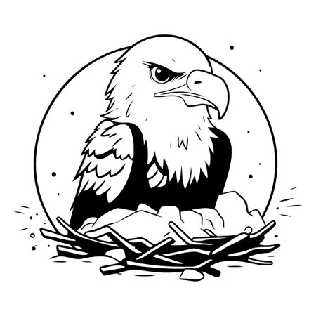 Bald Eagle in the nest. Vector illustration on white background.のイラスト素材