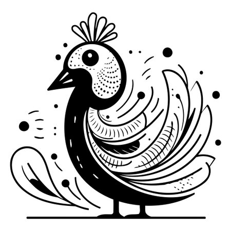Peacock vector illustration. Isolated peacock on white background.のイラスト素材
