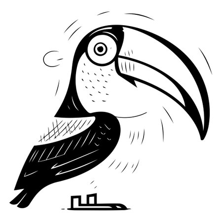 Cartoon toucan. Vector illustration isolated on a white background.のイラスト素材
