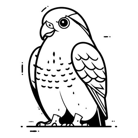 Pigeon on white background. Vector illustration in flat style.のイラスト素材