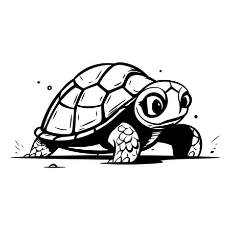 Cartoon turtle. Vector illustration of a tortoise on white background.