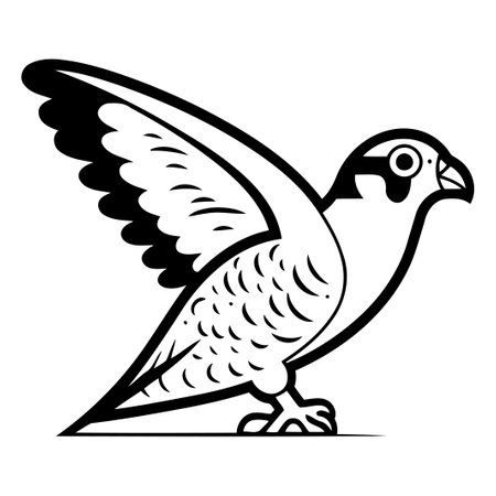 Pigeon isolated on white background. Vector illustration in cartoon style.のイラスト素材
