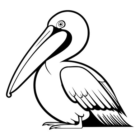 Pelican isolated on white background. Vector illustration in cartoon style.のイラスト素材