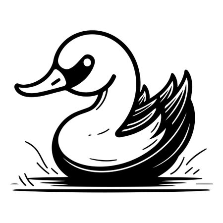 Vector illustration of swan. Isolated on a white background.のイラスト素材