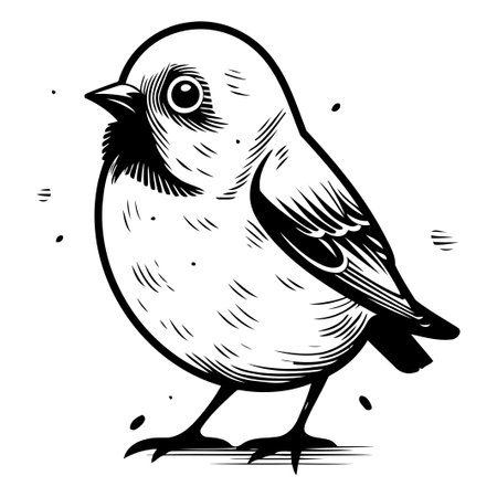 Vector illustration of a yellow bird. Isolated on white background.のイラスト素材