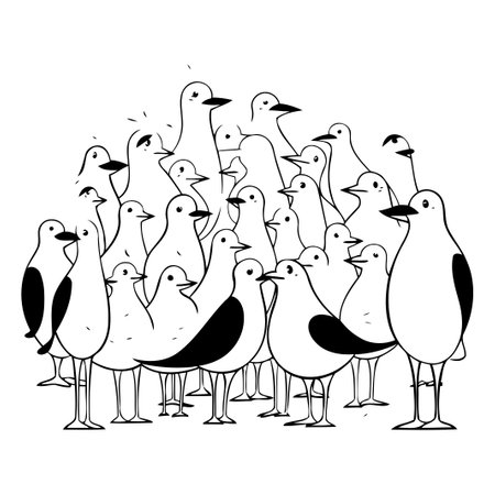 Seagulls are standing on a white background. Vector illustration.のイラスト素材