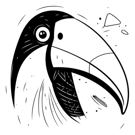 Toucan vector illustration. Hand drawn doodle style.のイラスト素材