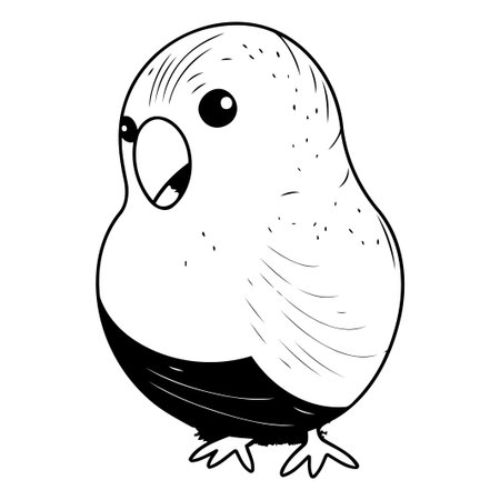 Hand drawn vector illustration of a cute bullfinch. Isolated on white background.