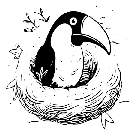 Toucan bird in the nest. Hand drawn vector illustration.のイラスト素材