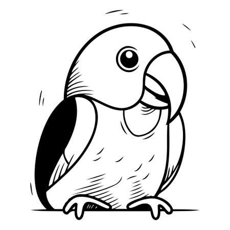 Cute parrot isolated on white background. Hand drawn vector illustration.のイラスト素材
