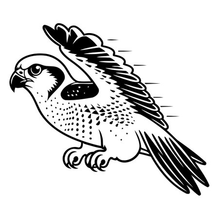 Falcon. Vector illustration of a falcon. Bird of prey.のイラスト素材