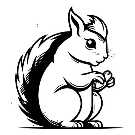 Squirrel. Vector illustration. Isolated on a white background.のイラスト素材