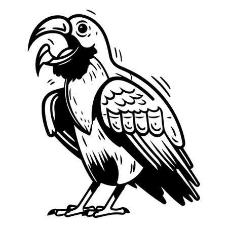 Vector image of a cute cartoon parrot on a white background.のイラスト素材