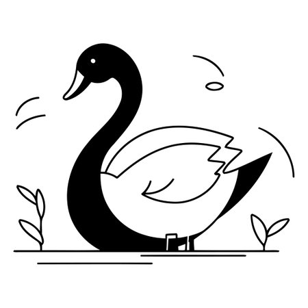 Vector black and white illustration of a swan on a white backgroundのイラスト素材