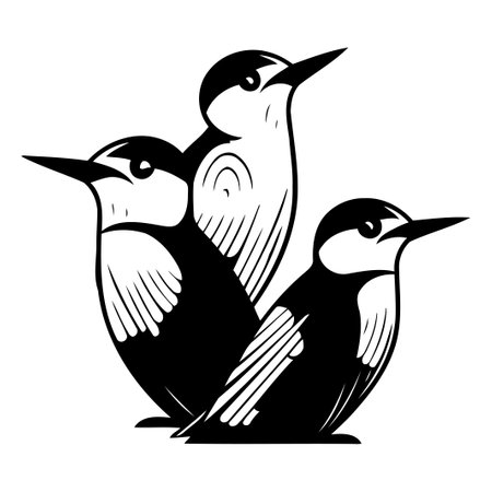 Red headed woodpecker. vector illustration on white background.のイラスト素材